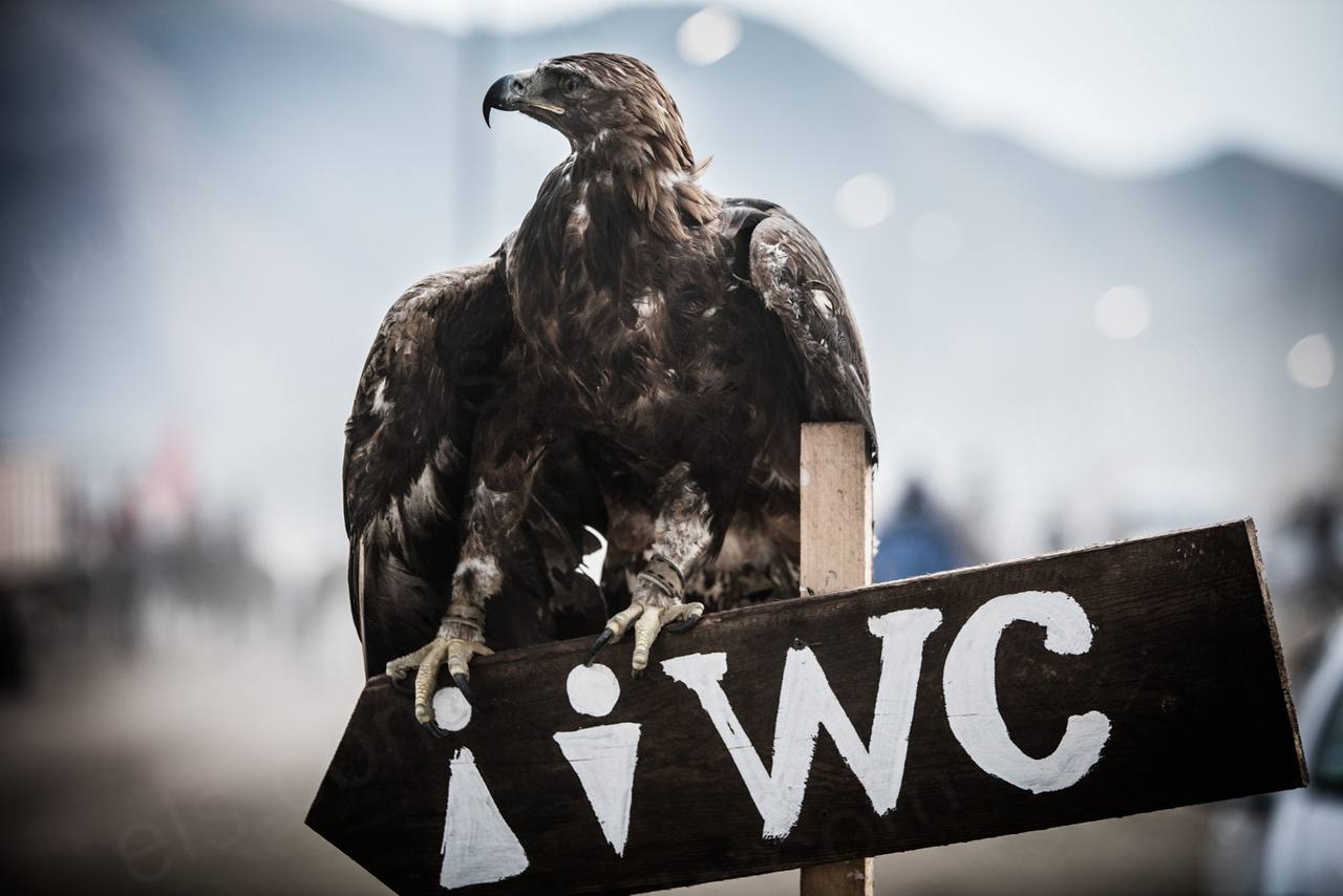 Nomad Games Kyrgyzstan